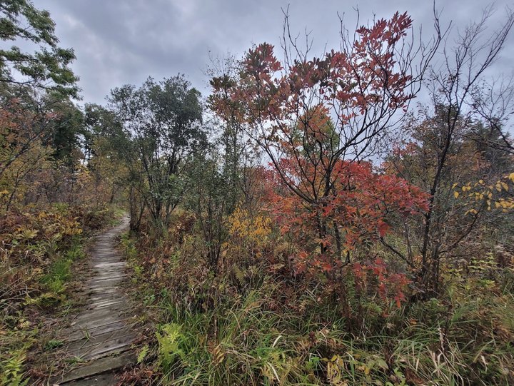 There's A Little-Known Nature Sanctuary Just Waiting For Michigan Explorers