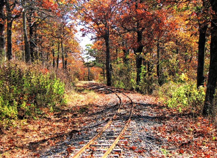 Take A Ride Through Arkansas’ Fall Foliage On The Rich Mountain Miniature Train