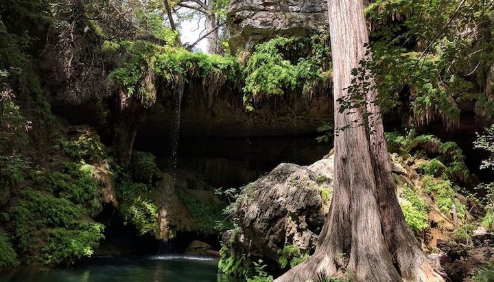 Westcave Preserve Is A Discovery Hike In Texas That Leads To A Secret Grotto