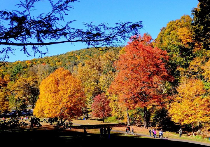 Kent Falls State Park In Connecticut Will Soon Be Surrounded By Beautiful Fall Colors