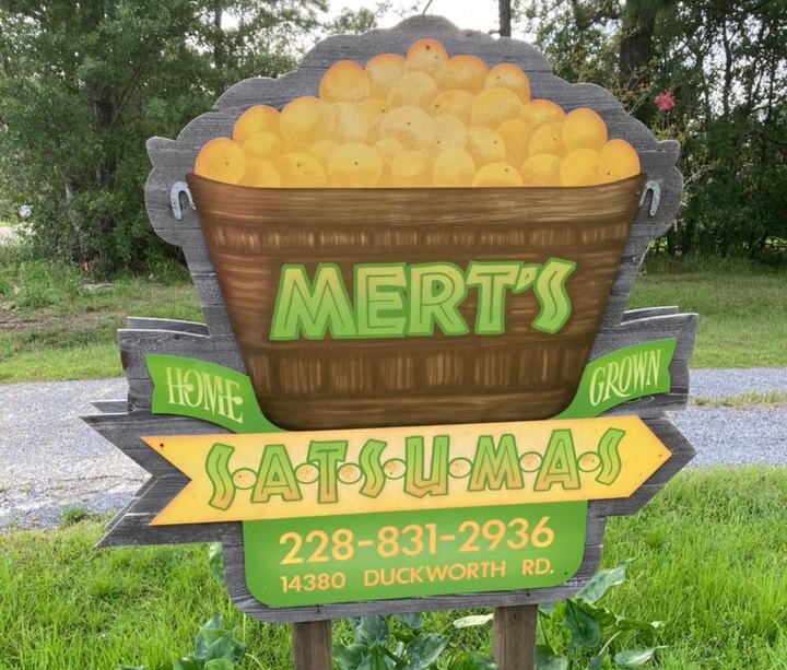Visit Mert's Satsumas, A 500-Tree U-Pick Citrus Farm In Mississippi