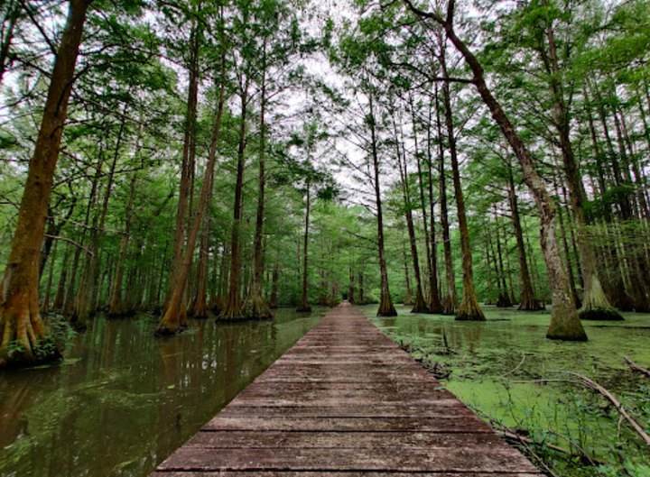 The Small Louisiana Town Of Ville Platte Has More Outdoor Attractions Than Any Other Place In The State