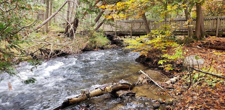 The Michigan Natural Area Where You Can Hike Across Multiple Bridges Is A Grand Adventure
