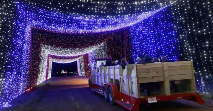 Take A Train Ride Through A Christmas Lights Tunnel At Dewberry Farm In Texas