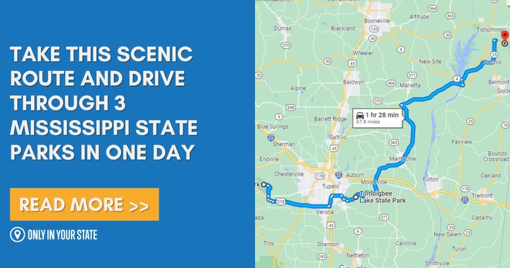 Take This Scenic Route And Drive Through 3 Mississippi State Parks In One Day