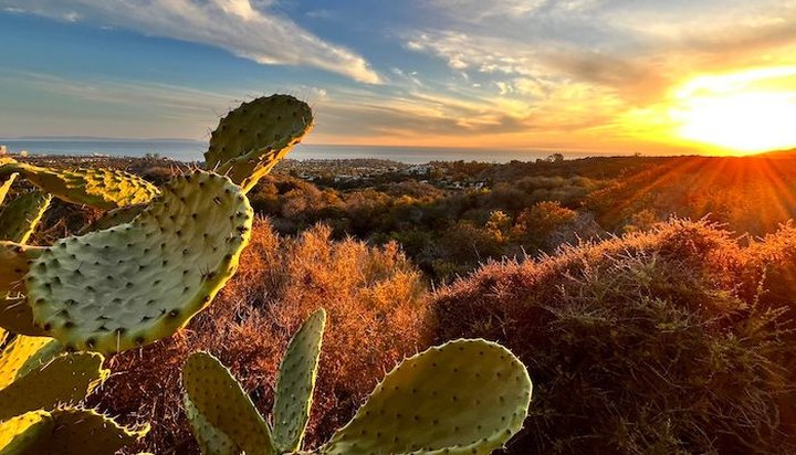 7 Short And Sweet Fall Hikes In Southern California With A Spectacular End View