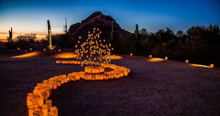 The Garden Christmas Lights Display At Desert Botanical Gardens In Arizona Is Pure Holiday Magic