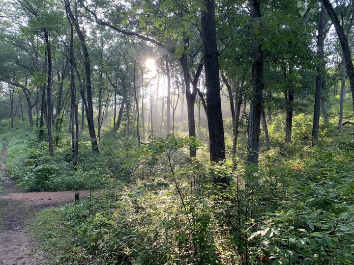 There's Almost Nothing A Hike In Indiana Nature At Indiana Dunes National Park Can't Cure