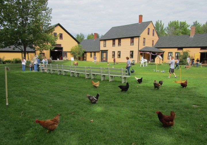 Here Are 3 Farm Parks In New Hampshire That Make Excellent Family Day Trip Destinations