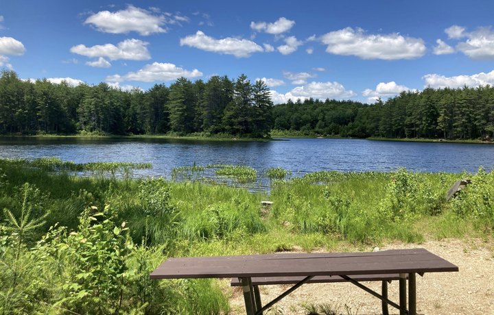 There's Almost Nothing A Hike In New Hampshire Nature At Northwood Meadows State Park Can't Cure