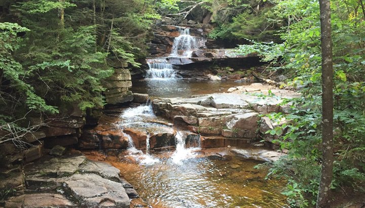 The Half-Mile Bemis Brook Trail In New Hampshire Is Full Of Jaw-Dropping Natural Pools