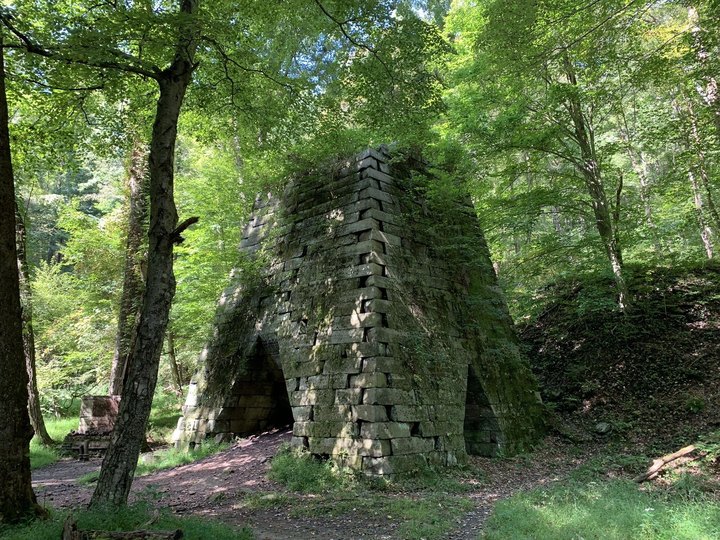 Nature Is Reclaiming This One Abandoned West Virginia Spot And It's Actually Amazing