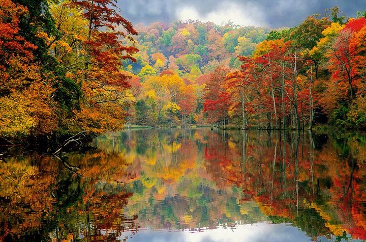 This Oklahoma Canoe Ride Leads To The Most Stunning Fall Foliage You've Ever Seen