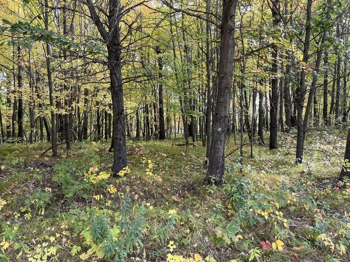 A True Hidden Gem, Carlos Avery Wildlife Management Area Is Perfect For Minnesota Nature Lovers