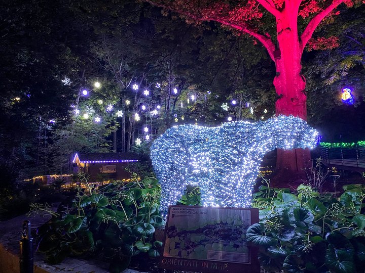 Not Everyone Knows The State Botanical Garden Of Georgia Puts On A Dazzling Holiday Light Display