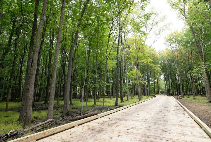 This Hidden Park Just Outside Of Cleveland, Ohio, Is An Unexplored Urban Oasis