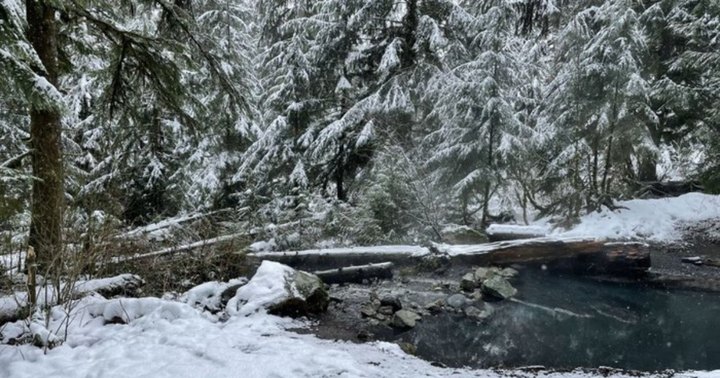 This Primitive Hot Springs Trail In Washington Is Everything You Need This Winter