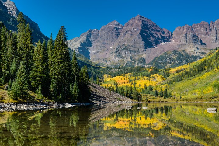 16 Of America's Most Incredible National Forests That Are Just Begging For A Visit