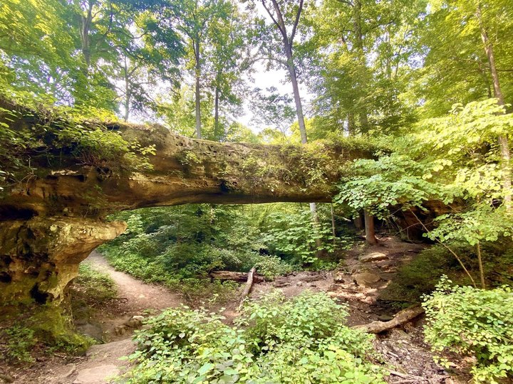 Enjoy An Unexpectedly Magical Hike On This Little-Known Forest Trail In Illinois
