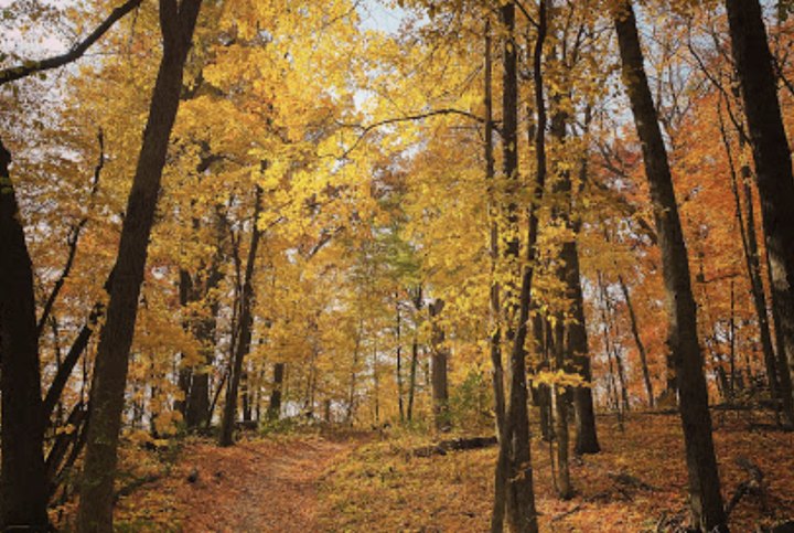 It's Downright Magical To Watch Minnesota's Seasons Change At Lake Maria State Park