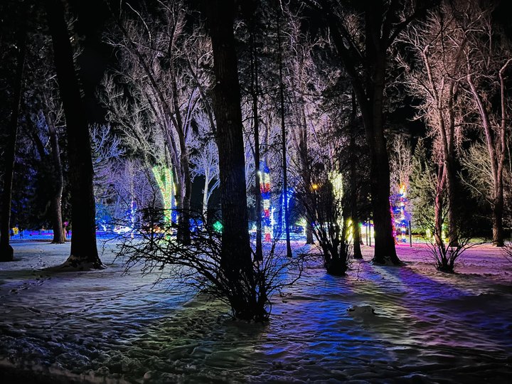 Walk Through A Winter Wonderland Of Ice This Holiday Season At The Washington Park Winter Lights Festival In Wyoming