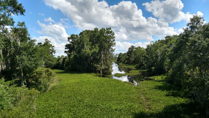 Louisiana’s Barataria Preserve Is Too Beautiful For Words