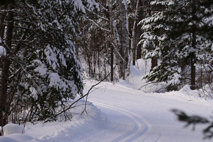 Explore Minnesota's Scenic 57-Mile Gunflint Trail On This Unforgettable Winter Adventure