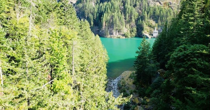 With Over Five Miles Of Trails And A Unique Ecosystem, This Underrated Washington State Park Is A Must-Visit
