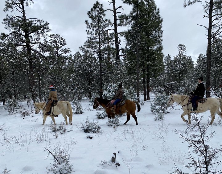 The Small Town In Arizona That Comes Alive During The Winter Season