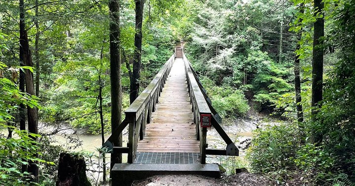 There's A Georgia Trail That Leads To A Waterfall The Entire Family Will Love