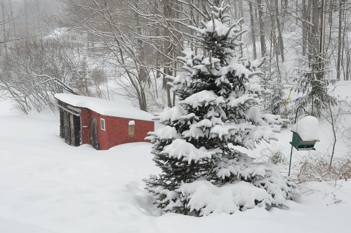 It Was So Cold In Vermont In 2015, Temperatures Stayed Below Freezing For 27 Days