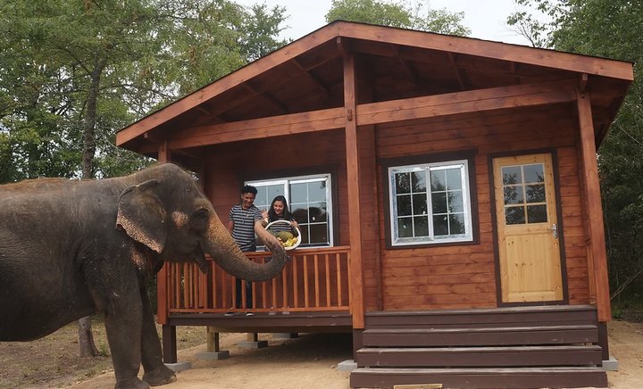 Stay Overnight In This Cabin In Oklahoma, Then Eat Breakfast With Elephants