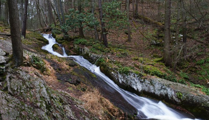 Discover A Little-Known Natural Wonder In New Jersey On The 1.6-Mile Tillman Ravine Trail
