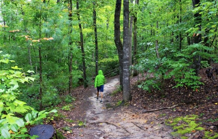 Discover A Little-Known Natural Wonder In South Carolina On The 1.5-Mile Natural Bridge Trail