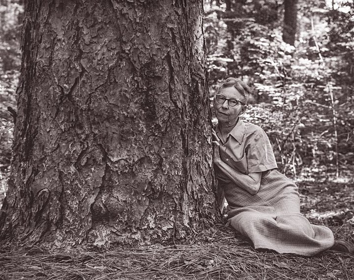Few People Know Louisiana Was Home To The First Woman Hired To The United States Forest Service In America