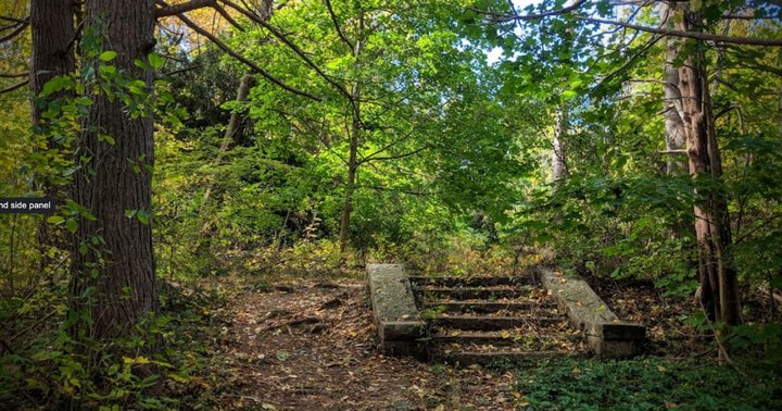 Most People Don’t Know There Are Mansion Ruins Hiding Deep In Massachusetts' Woods
