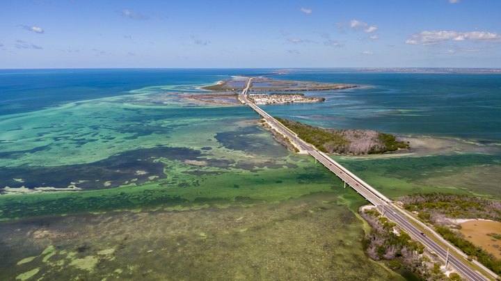You Can Swim With Tropical Fish At This Florida Barrier Reef, The Only Living One In The U.S.
