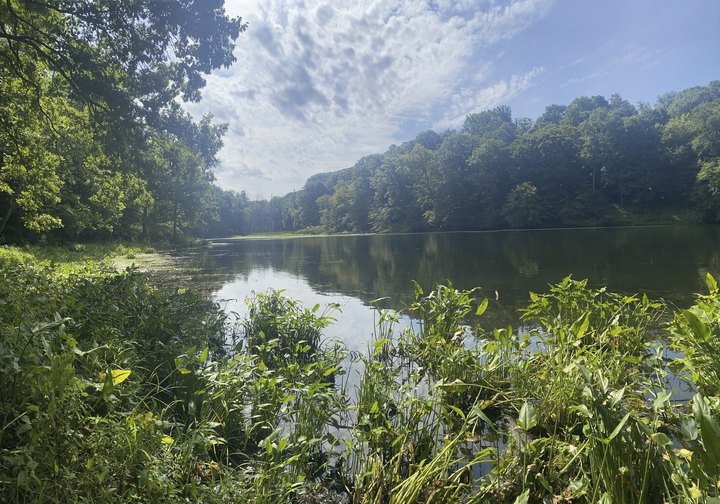 A Trail Full Of Blissful Forest Views Will Lead You To A Lakeside Paradise In Indiana
