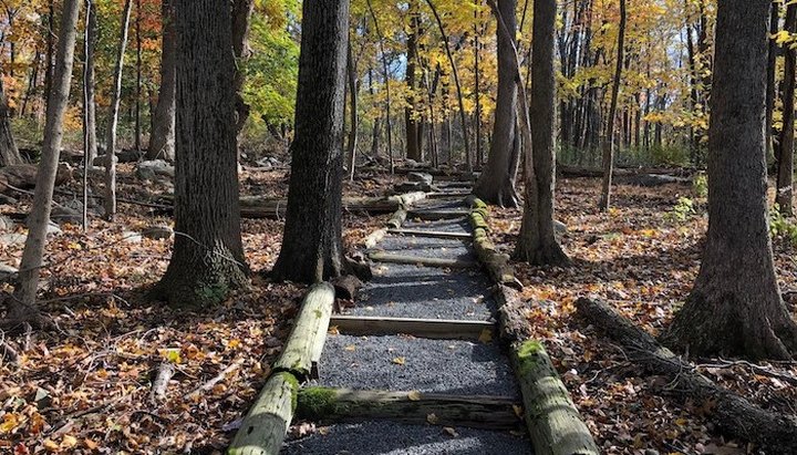 A Bit Of An Unexpected Natural Wonder, Few People Know There Is An Insect and Reptile Sanctuary Hiding In New Jersey