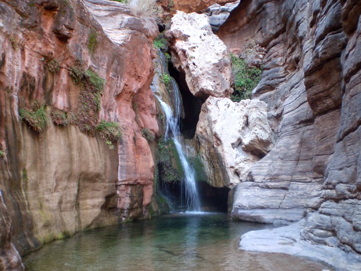 This Waterfall With An Emerald Pool Is A Hidden Wonder In Arizona's Grand Canyon You Must See With Your Own Eyes
