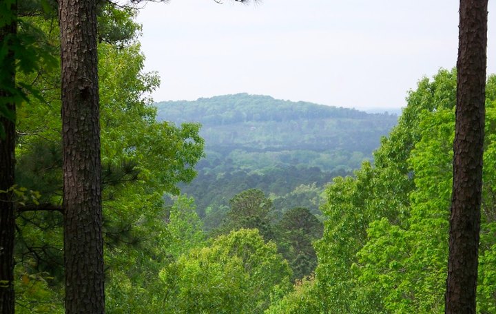 We Bet You Didn't Know There Was A Miniature Denali In Louisiana