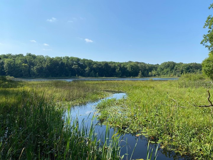 It's Impossible Not To Love This Breathtaking Wild Flower Trail In Michigan