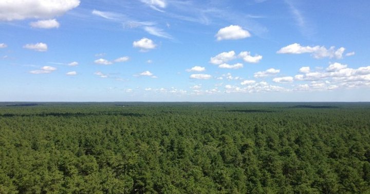 Accessible By Hike, This Natural Wonder In New Jersey Rivals The Redwoods