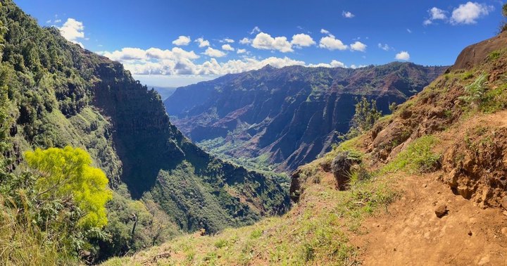 18 Best Hikes In Hawaii: The Top-Rated Hiking Trails To Visit In 2023