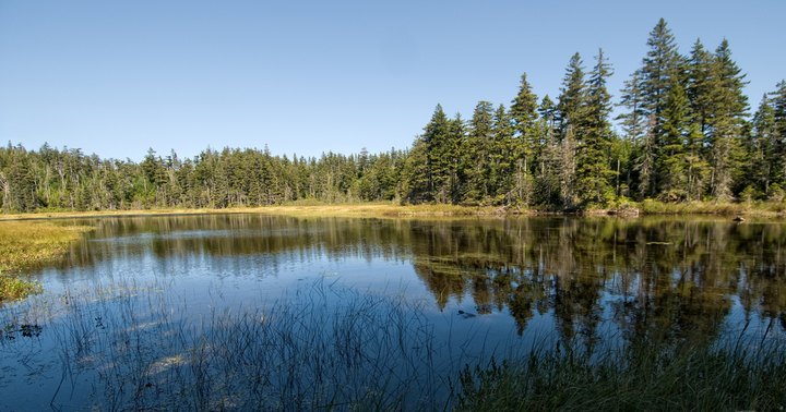 Perhaps The State's Best Hidden Treasure, Hardly Anyone Knows This Tiny Lake Exists In New Hampshire