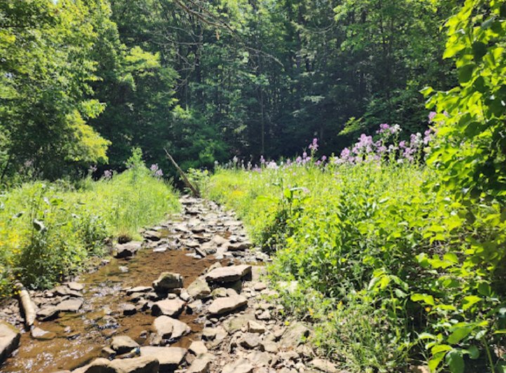 This Off-The-Beaten-Path Park In Pennsylvania Is The Perfect Place To Escape