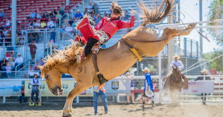 Get Ready For A Rootin' Tootin' Weekend Of Rodeo Fun At The Annual Omak Stampede In Washington