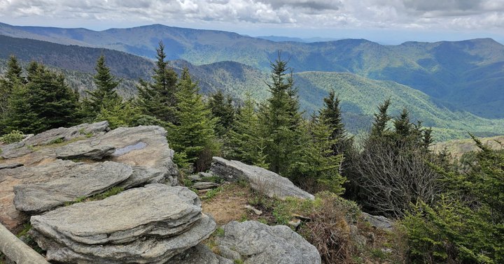 18 Best Hikes In North Carolina: The Top-Rated Hiking Trails To Visit In 2023