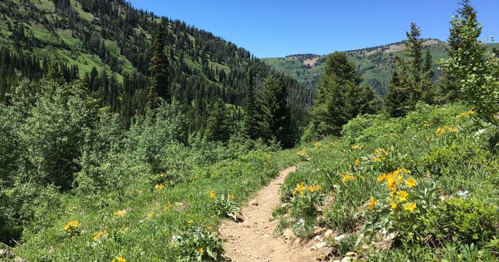18 Best Hikes In Wyoming: The Top-Rated Hiking Trails To Visit In 2023