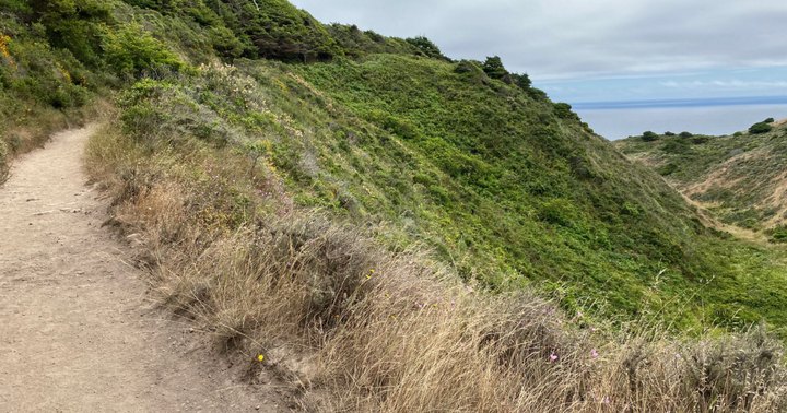 18 Best Hikes In Northern California: The Top-Rated Hiking Trails To Visit In 2023